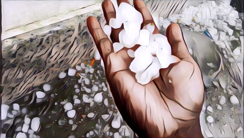 Jakarta Diguyur Hujan Es... Apa Kata BMKG?