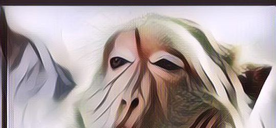 Remis, Receh Kamis 28 Februari 2019, Awas Ngakak