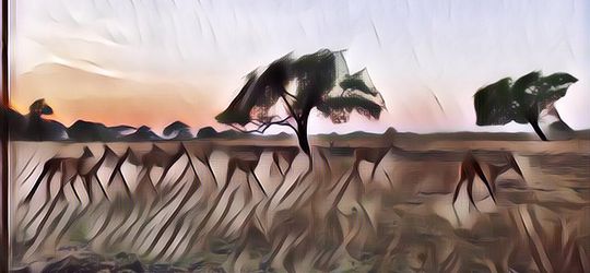 4 Tempat Berburu Sunset Terbaik di Banyuwangi, Pecinta Senja Wajib Merapat