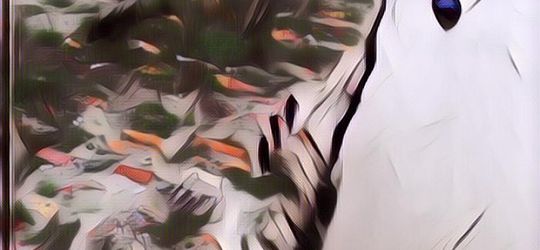 Kisah di Balik Ratusan Jasad Covid-19 Mengambang di Sungai Gangga