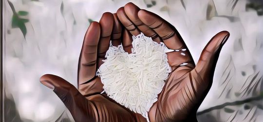 Viral! Guru SD di China Kasih PR Suruh Hitung Beras 100 Juta Butir