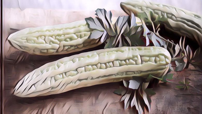 Tips Sederhana Masak Pare Biar Nggak Terasa Pahit, Rendam Pakai Bahan Dapur Ini!