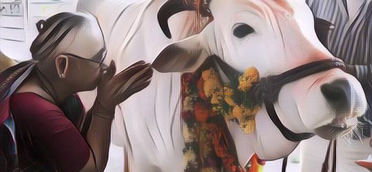 Orang Hindu Tidak Makan Daging Sapi, Ternyata Ini Asal-Usulnya