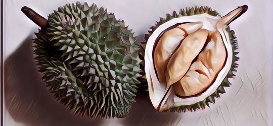 Gak Nyangka, Ternyata Kandungan Nutrisi Durian Memang Sedahsyat Baunya