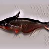 Kaya Akan Nutrisi, Berikut Manfaat Ikan Patin untuk Kesehatan