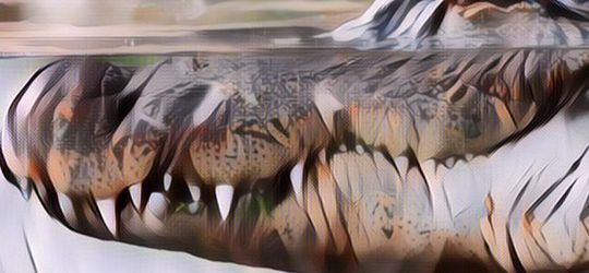 Viral Buaya Vegetarian, Sehari-harinya Gak Pernah Makan Daging