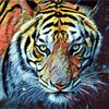 Bonita Dipercayai oleh Beberapa Warga Sebagai Siluman Harimau