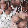 Viral Buah Rambutan Dijadikan Bahan Dekorasi Pernikahan, Begini Hasilnya