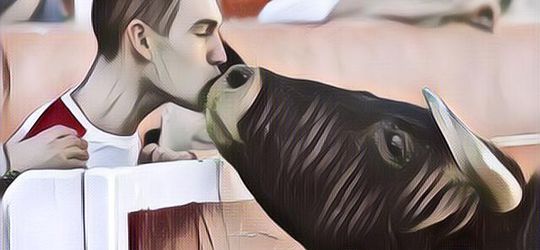 Cerita Cinta Terlarang yang Bikin Geleng-Geleng Kepala