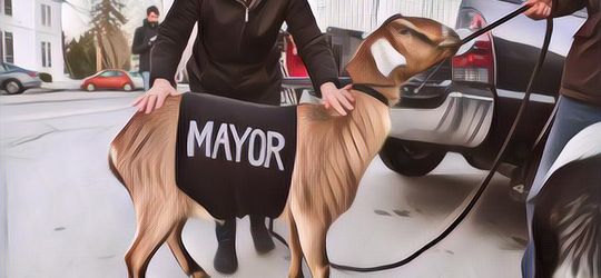 Gak Percaya Sama Manusia, Inilah Kisah Hewan-hewan yang Pernah Dicalonkan dan Dipilih Menjadi Pejabat