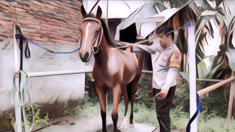 Peran Habibah Dalam Pernikahan Kaesang Pangarep dan  Erina Gudono