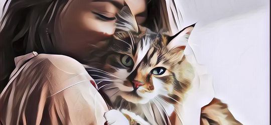 Coba Cek! Berikut 10 Tanda Jika Kucing Peliharaan di Rumah Sayang Padamu