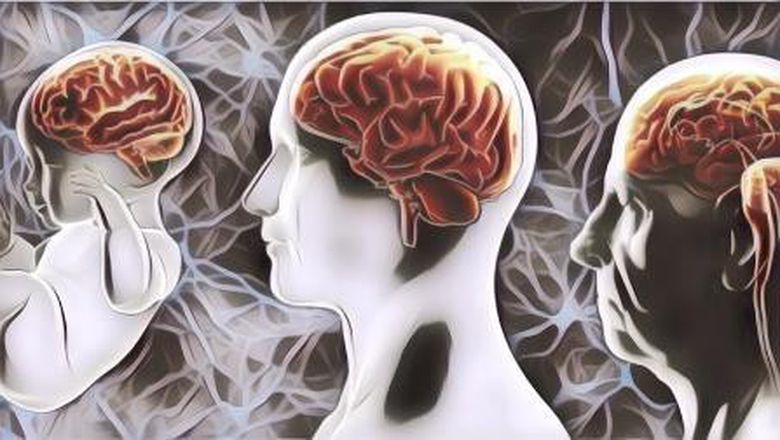 5 Cara Merawat Otak Biar Kamu Punya Ingatan yang Baik Hingga Tua