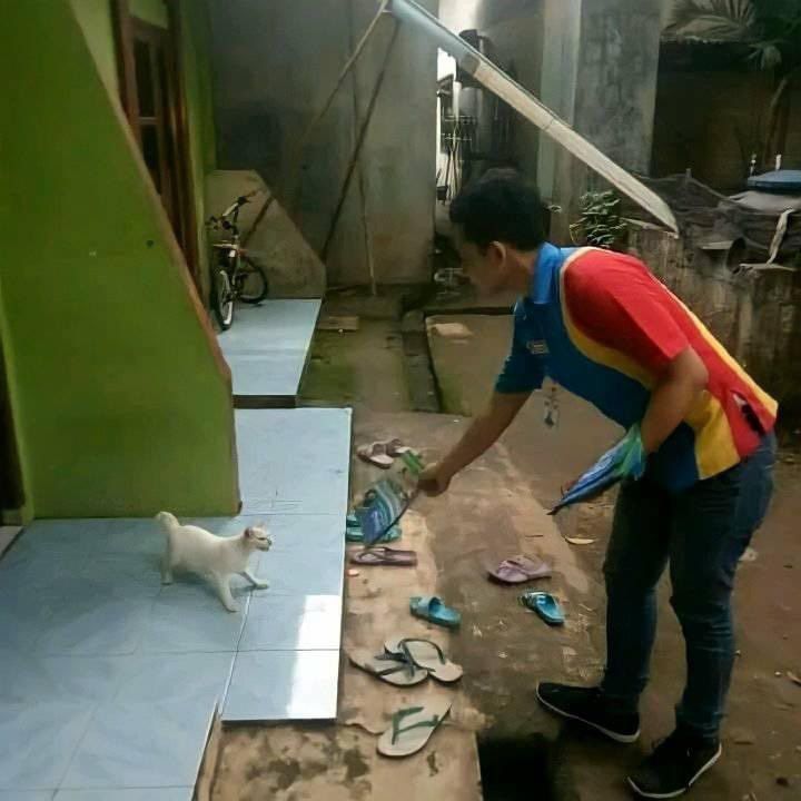 1. Apa sih maunya orang ini? Kelihatannya kayak ngasih makan kucing ya, tapi....