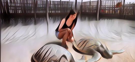 Liburan ke Pulau Penyu, Pulau yang Bisa Bikin Kamu Suka Penyu