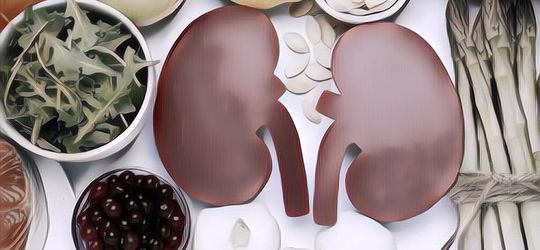 5 Makanan yang Bagus untuk Kesehatan Ginjal