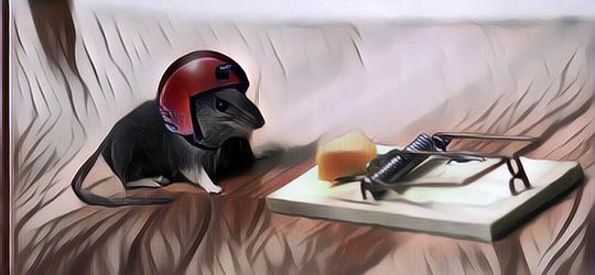 Makanan yang Disukai Tikus, Cocok Banget Dijadiin Umpan untuk Jebakan