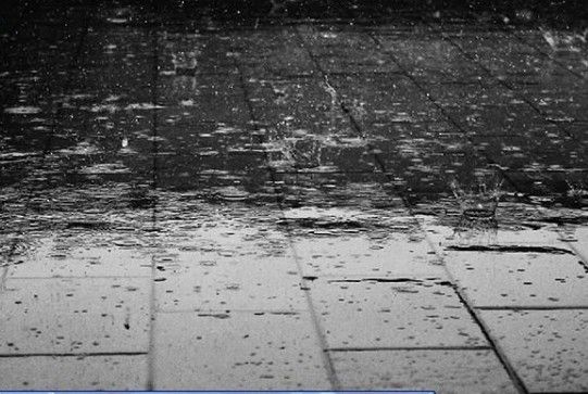 4.  Bau tanah setelah hujan