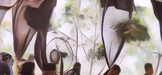 Kasihan, Momen Bahagia Pernikahan Ini Malah Berakhir Panik Gara-Gara Angin Kencang