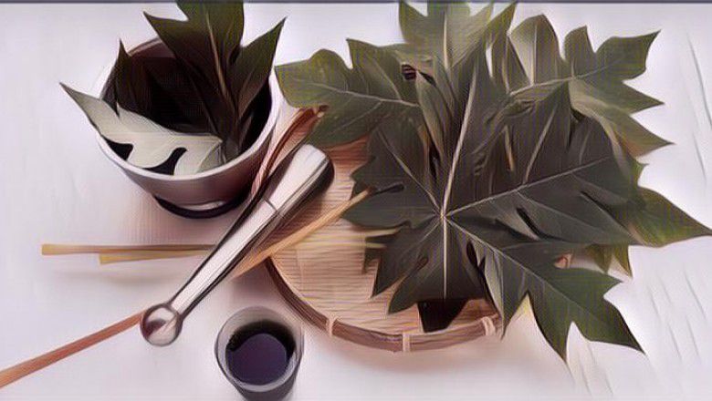 Daun Pepaya Ternyata Berkhasiat untuk Miss V, Ini Faktanya!