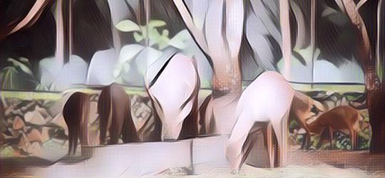 Perbedaan Cagar Alam dan Suaka Margasatwa, Biar Kalau Ditanya Kamu Nggak Salah Jawab