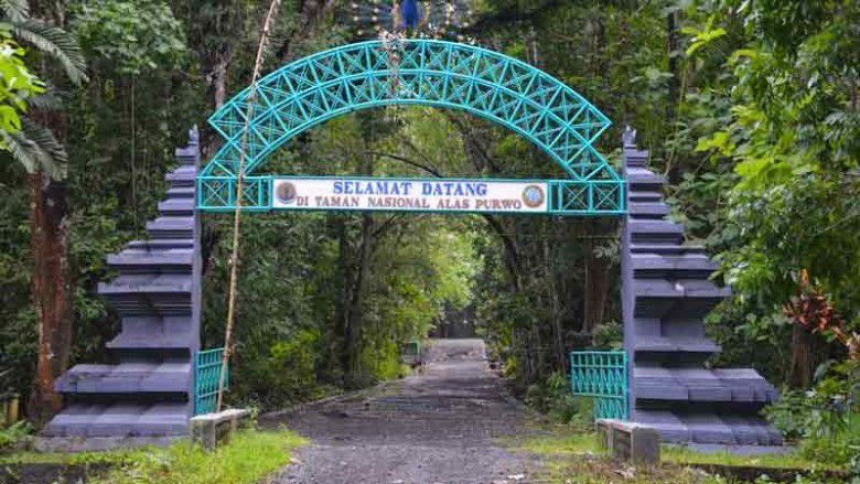 Alas Purwo, Banyuwangi