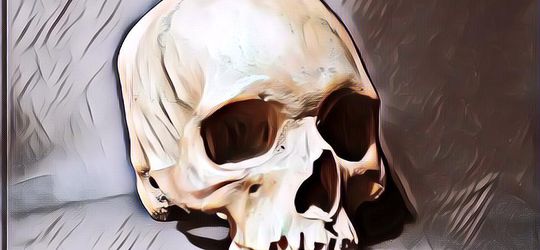 Seorang Pria Menemukan Tengkorak Manusia Saat Menggali Kebun Kentang