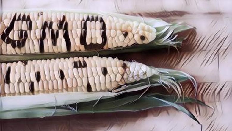 5 Makanan Modifikasi Genetik yang Lebih Baik Kamu Gak Makan