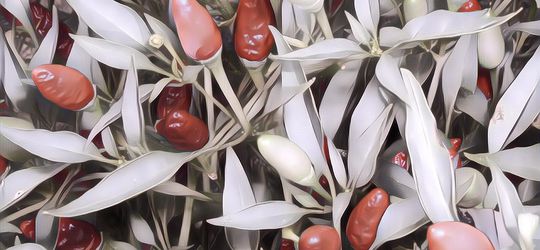 Kelewatan Banget! Harga Cabai Melambung, Pedagang Temukan Cabe Rawit Dicat Berwarna Merah