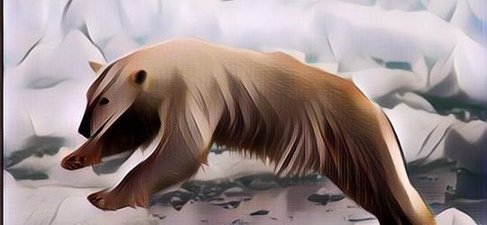 Kenapa Beruang Kutub Hanya Ada di Kutub Utara?