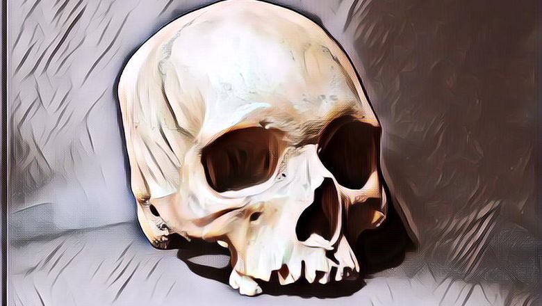 Seorang Pria Menemukan Tengkorak Manusia Saat Menggali Kebun Kentang