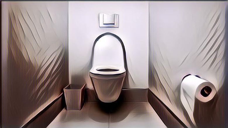 Kira-Kira Begini Penampakan Toilet Jika Menggunakan Pasir, Netizen: Berasa Mirip Kucing