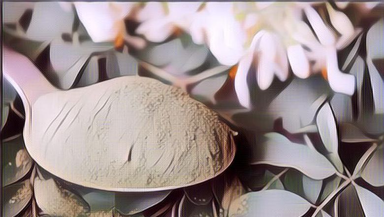 Sedang Tren Skincare dari Daun Kelor, Inilah Beberapa Manfaatnya Bagi Kulit Wajah