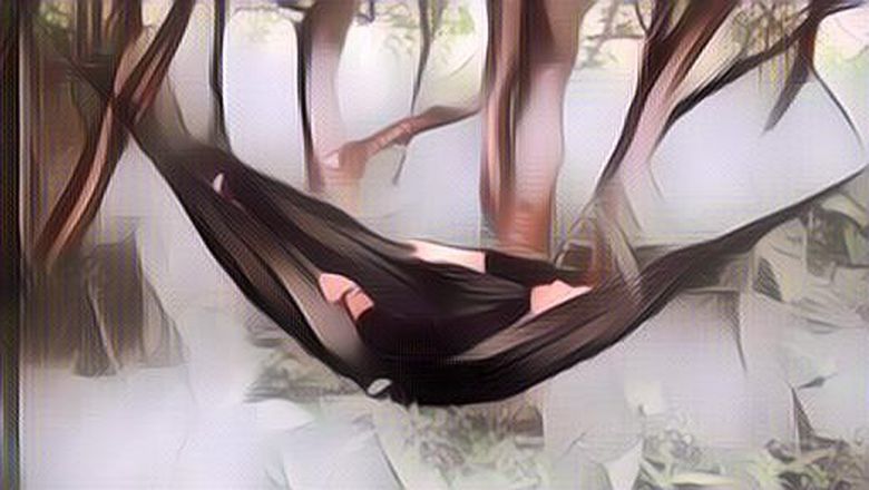 Terlalu Mabuk, Pria Ini Tak Sadar Sudah Berada Di Hutan Selama 4 Hari