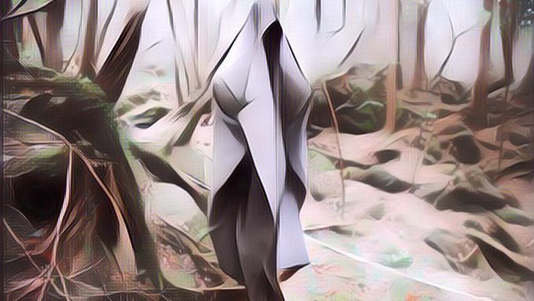 Hutan Aokigahara, Tempat Favorit Di Jepang untuk Bunuh Diri