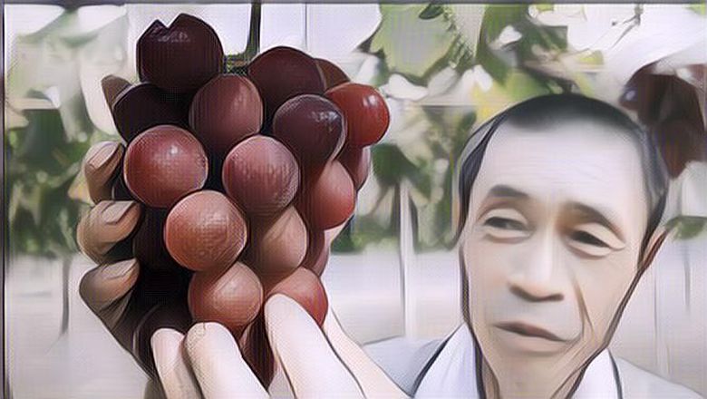 6 Buah Termahal di Dunia yang Bikin Kantong Insecure