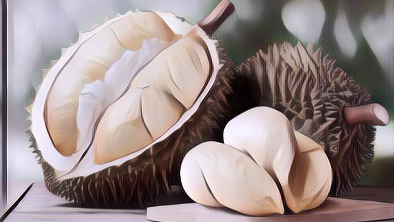 6 Cara Memilih Durian Agar Tak Kena Zonk, Ternyata Bisa Dilihat Dari Bentuk Duri Dan Tangkai