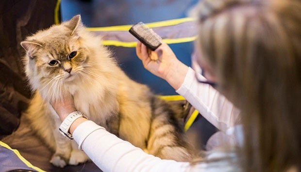 3. Membantu untuk hidup bersih