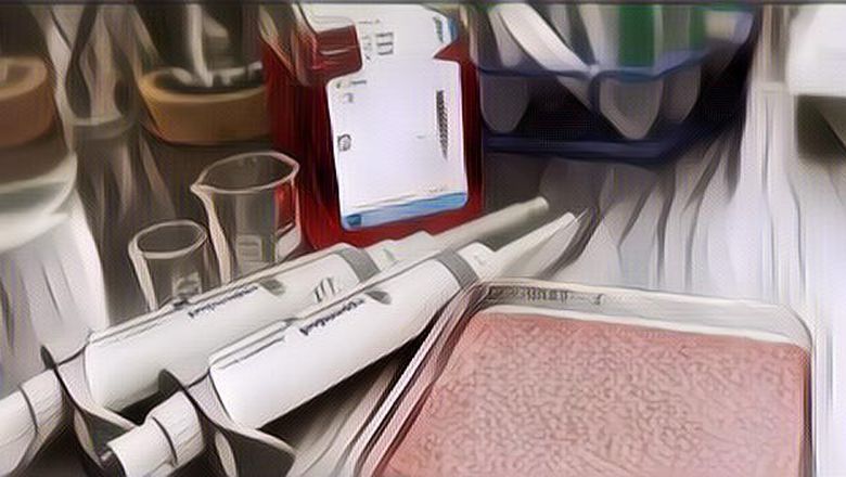 Dianggap Lebih Ramah Lingkungan dan Praktis, Para Ilmuwan Korea Selatan Kembangkan Beras Berprotein