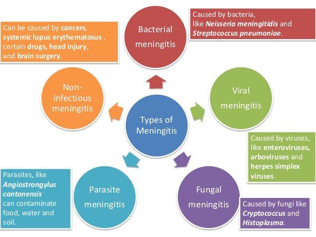 Jenis meningitis