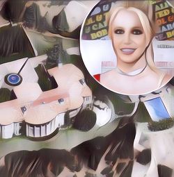 Begini Kondisi Rumah Britney Spears yang Sangat Memprihatinkan, Ada Banyak Kotoran Anjing