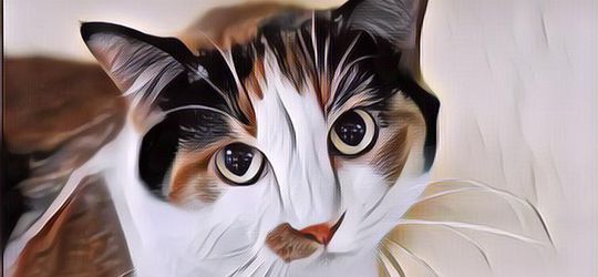 4 Mitos Kucing Belang Tiga, Bisa Bawa Hoki, Lho!