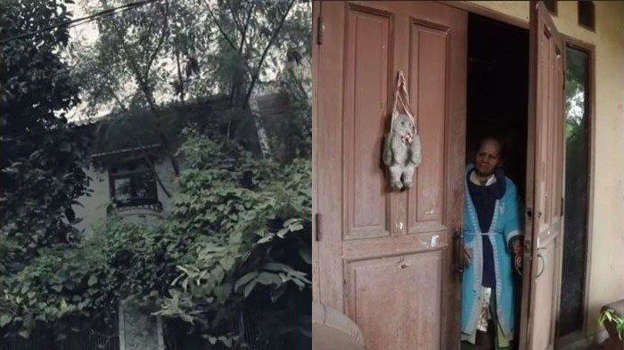 # Mengalami Gangguan Jika Sejak Tahun 2010 Silam