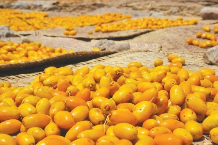 5. Menjaga Kesehatan Tulang