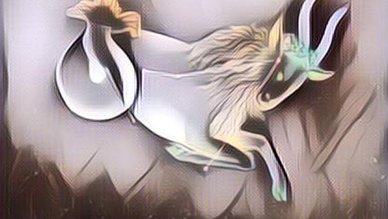 Daya Tahan Tubuh Zodiak Capricorn Cukup Kuat, Ini Bintangmu? Perhatikan Kesehatan Pencernaan Ya!