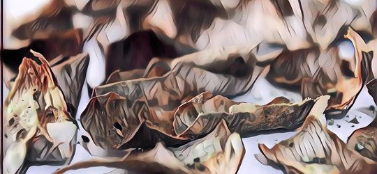 Ternyata Kulit Kentang Punya Banyak Nutrisi, Begini Cara Mengolahnya