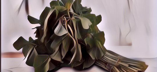 Banyak yang Belum Tahu, Ini 4 Manfaat Bayam untuk Rambut