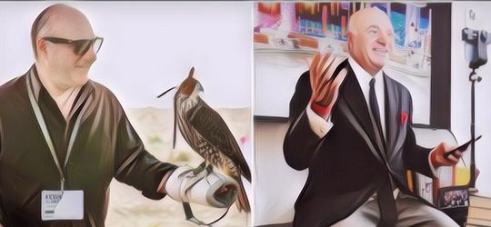 Kocak Abis, Begini Penampilan Lucu Politisi Kanada Saat Rapat Daring