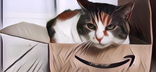 Ternyata Ini Alasan Kenapa Kucing Suka Banget Sama Box Apa Pun, Sudah Tahu Belum?