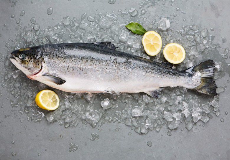 4. Sulaiman Akhirnya Dapatkan Cincinnya Lagi